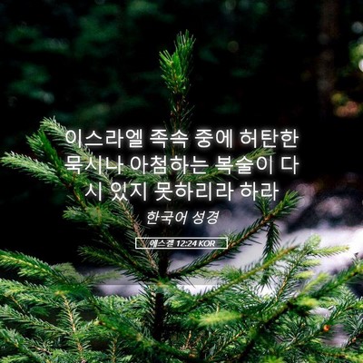 Picture 05 - 에스겔 12:24 KOR - 이스라엘 족속 중에 허탄한 묵시나 - Bible Verse Picture