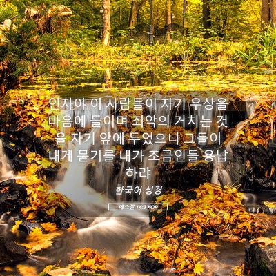 Picture 05 - 에스겔 14:3 KOR - 인자야 이 사람들이 자기 우상을 - Bible Verse Picture
