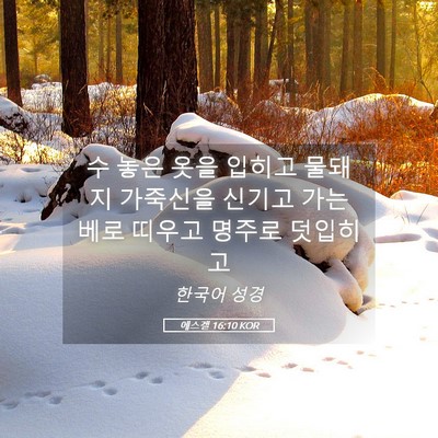 Picture 05 - 에스겔 16:10 KOR - 수 놓은 옷을 입히고 물돼지 - Bible Verse Picture