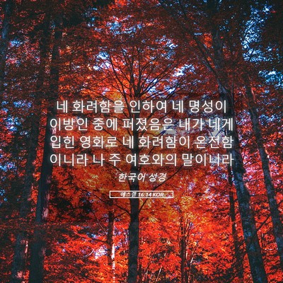 Picture 05 - 에스겔 16:14 KOR - 네 화려함을 인하여 네 명성이 - Bible Verse Picture