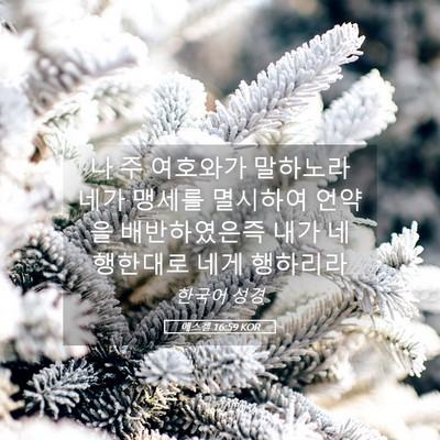 Picture 05 - 에스겔 16:59 KOR - 나 주 여호와가 말하노라 네가 - Bible Verse Picture