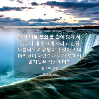 Picture 05 - 에스겔 16:7 KOR - 내가 너로 들의 풀 같이 많게 - Bible Verse Picture