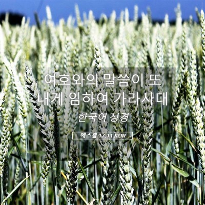 Picture 05 - 에스겔 17:11 KOR - 여호와의 말씀이 또 내게 임하여 - Bible Verse Picture