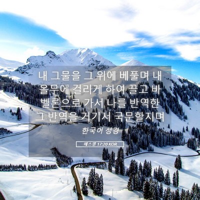 Picture 05 - 에스겔 17:20 KOR - 내 그물을 그 위에 베풀며 내 올무에 - Bible Verse Picture