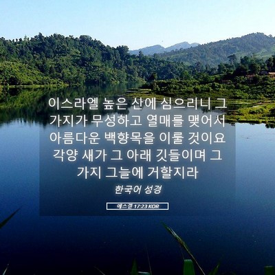 Picture 05 - 에스겔 17:23 KOR - 이스라엘 높은 산에 심으리니 그 - Bible Verse Picture