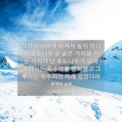 Picture 05 - 에스겔 17:6 KOR - 그것이 자라며 퍼져서 높지 아니한 - Bible Verse Picture