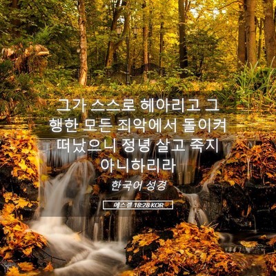 Picture 05 - 에스겔 18:28 KOR - 그가 스스로 헤아리고 그 행한 모든 - Bible Verse Picture
