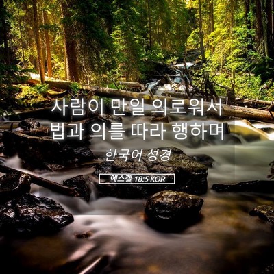 Picture 05 - 에스겔 18:5 KOR - 사람이 만일 의로워서 법과 의를 - Bible Verse Picture