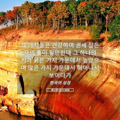 Picture 05 - 에스겔 19:11 KOR - 그 가지들은 견강하여 권세 잡은 - Bible Verse Picture