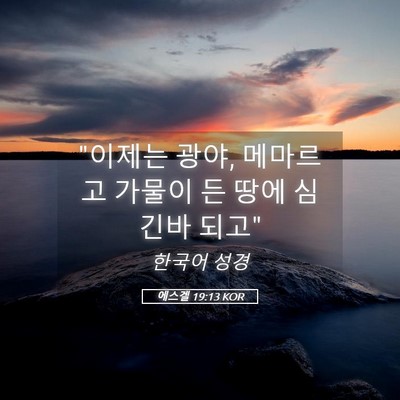 Picture 05 - 에스겔 19:13 KOR - 