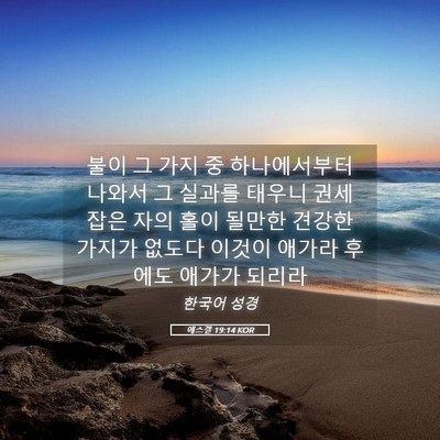 Picture 05 - 에스겔 19:14 KOR - 불이 그 가지 중 하나에서부터 - Bible Verse Picture