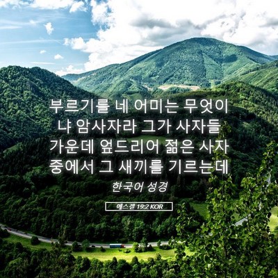 Picture 05 - 에스겔 19:2 KOR - 부르기를 네 어미는 무엇이냐 - Bible Verse Picture
