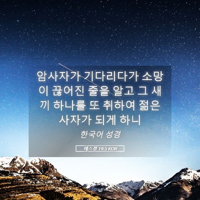 Picture 05 - 에스겔 19:5 KOR - 암사자가 기다리다가 소망이 끊어진 - Bible Verse Picture