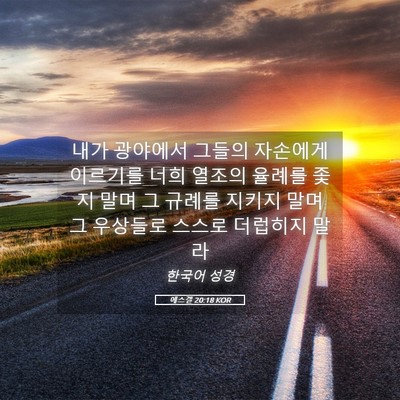 Picture 05 - 에스겔 20:18 KOR - 내가 광야에서 그들의 자손에게 - Bible Verse Picture