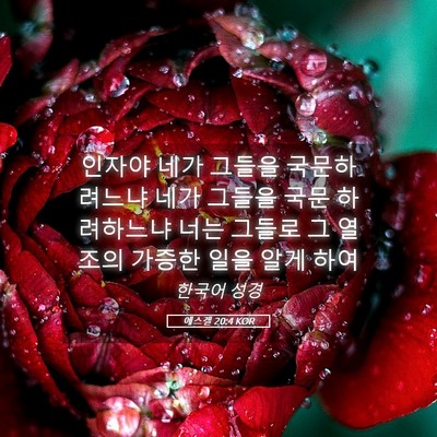 Picture 05 - 에스겔 20:4 KOR - 인자야 네가 그들을 국문하려느냐 - Bible Verse Picture