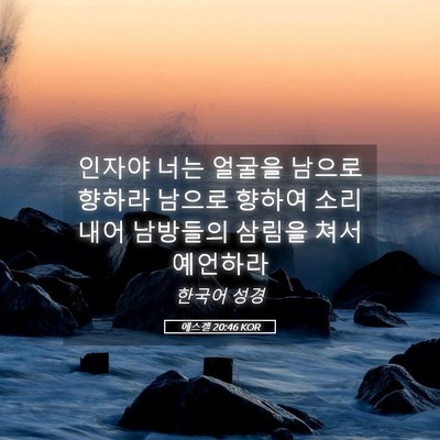 Picture 05 - 에스겔 20:46 KOR - 인자야 너는 얼굴을 남으로 향하라 - Bible Verse Picture