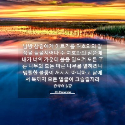 Picture 05 - 에스겔 20:47 KOR - 남방 삼림에게 이르기를 여호와의 - Bible Verse Picture