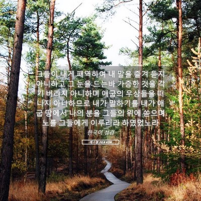 Picture 05 - 에스겔 20:8 KOR - 그들이 내게 패역하여 내 말을 즐겨 - Bible Verse Picture