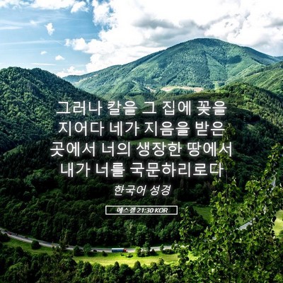 Picture 05 - 에스겔 21:30 KOR - 그러나 칼을 그 집에 꽂을지어다 - Bible Verse Picture