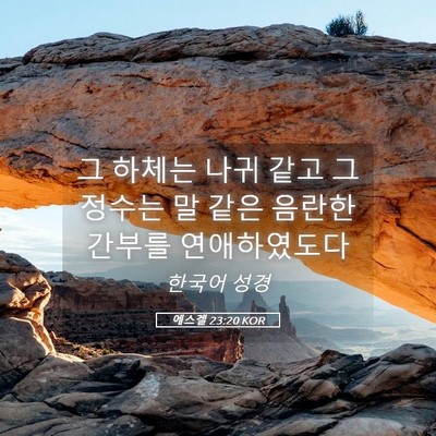 Picture 05 - 에스겔 23:20 KOR - 그 하체는 나귀 같고 그 정수는 말 - Bible Verse Picture