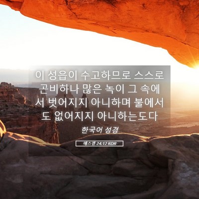 Picture 05 - 에스겔 24:12 KOR - 이 성읍이 수고하므로 스스로 - Bible Verse Picture