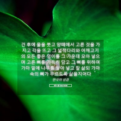 Picture 05 - 에스겔 24:4 KOR - 건 후에 물을 붓고 양떼에서 고른 - Bible Verse Picture