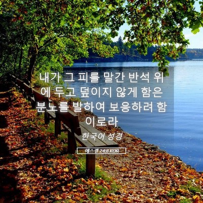 Picture 05 - 에스겔 24:8 KOR - 내가 그 피를 말간 반석 위에 두고 - Bible Verse Picture