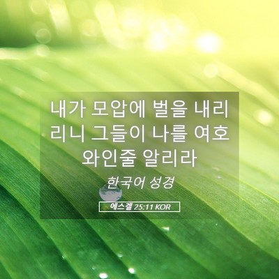 Picture 05 - 에스겔 25:11 KOR - 내가 모압에 벌을 내리리니 그들이 - Bible Verse Picture