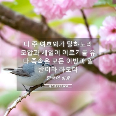 Picture 05 - 에스겔 25:8 KOR - 나 주 여호와가 말하노라 모압과 - Bible Verse Picture
