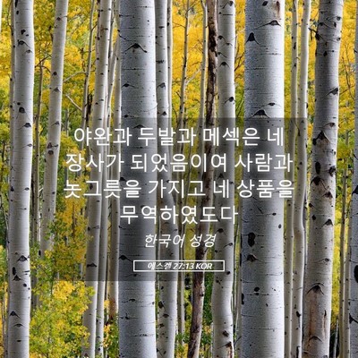 Picture 05 - 에스겔 27:13 KOR - 야완과 두발과 메섹은 네 장사가 - Bible Verse Picture