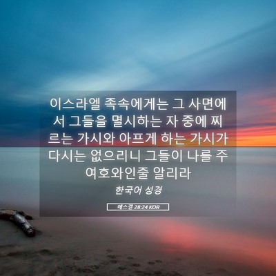 Picture 05 - 에스겔 28:24 KOR - 이스라엘 족속에게는 그 사면에서 - Bible Verse Picture