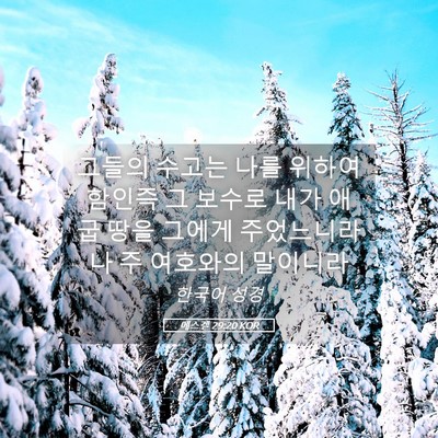 Picture 05 - 에스겔 29:20 KOR - 그들의 수고는 나를 위하여 함인즉 - Bible Verse Picture