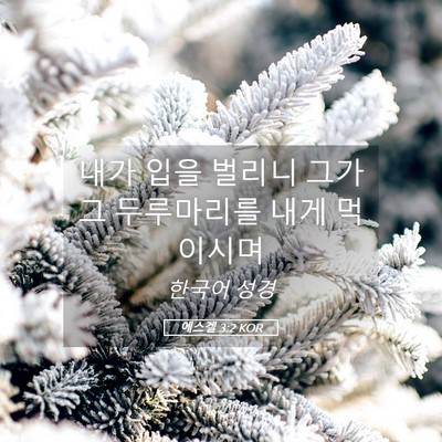 Picture 05 - 에스겔 3:2 KOR - 내가 입을 벌리니 그가 그 - Bible Verse Picture