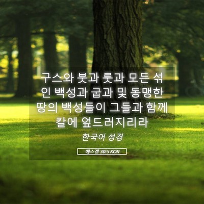 Picture 05 - 에스겔 30:5 KOR - 구스와 붓과 룻과 모든 섞인 백성과 - Bible Verse Picture