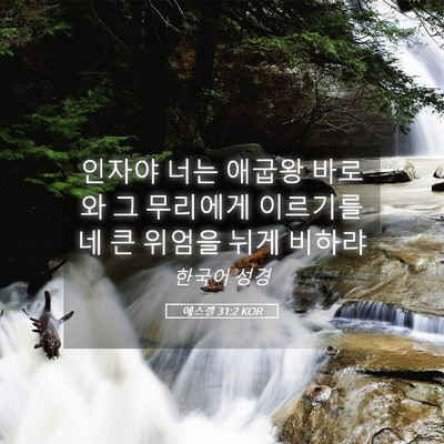 Picture 05 - 에스겔 31:2 KOR - 인자야 너는 애굽왕 바로와 그 - Bible Verse Picture