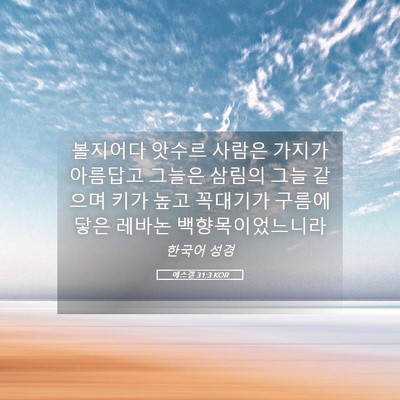 Picture 05 - 에스겔 31:3 KOR - 볼지어다 앗수르 사람은 가지가 - Bible Verse Picture
