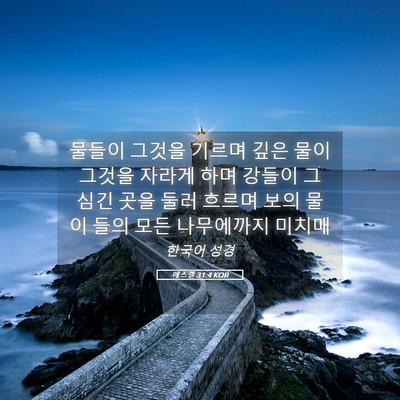Picture 05 - 에스겔 31:4 KOR - 물들이 그것을 기르며 깊은 물이 - Bible Verse Picture