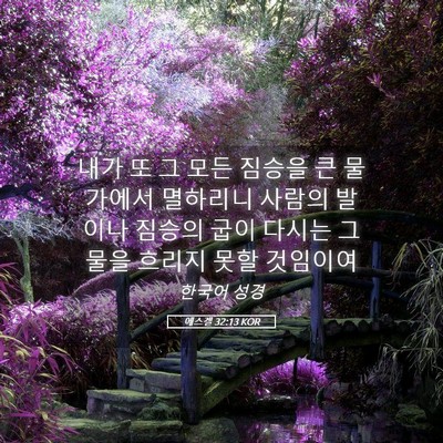 Picture 05 - 에스겔 32:13 KOR - 내가 또 그 모든 짐승을 큰 물가에서 - Bible Verse Picture