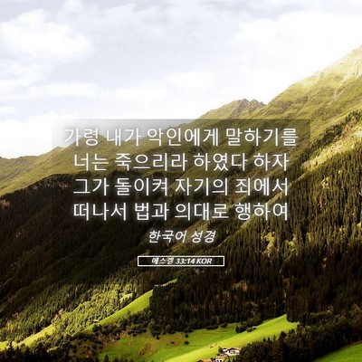 Picture 05 - 에스겔 33:14 KOR - 가령 내가 악인에게 말하기를 너는 - Bible Verse Picture