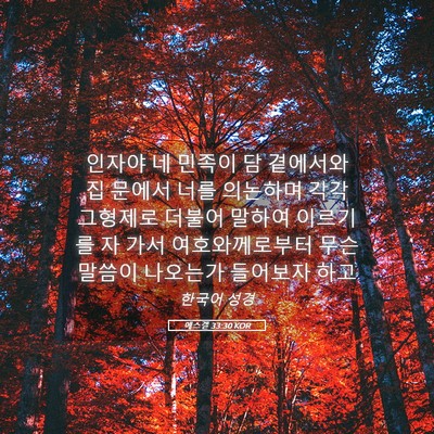 Picture 05 - 에스겔 33:30 KOR - 인자야 네 민족이 담 곁에서와 집 - Bible Verse Picture