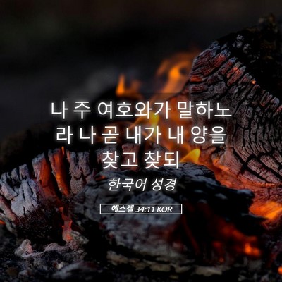 Picture 05 - 에스겔 34:11 KOR - 나 주 여호와가 말하노라 나 곧 내가 - Bible Verse Picture