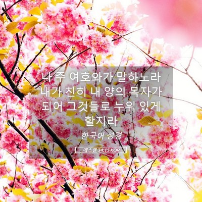 Picture 05 - 에스겔 34:15 KOR - 나 주 여호와가 말하노라 내가 친히 - Bible Verse Picture