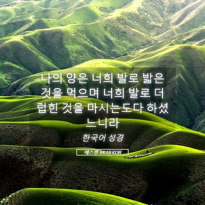 Picture 05 - 에스겔 34:19 KOR - 나의 양은 너희 발로 밟은 것을 - Bible Verse Picture