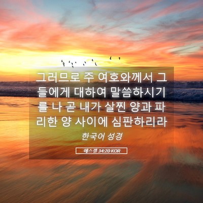 Picture 05 - 에스겔 34:20 KOR - 그러므로 주 여호와께서 그들에게 - Bible Verse Picture