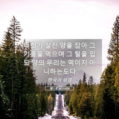 Picture 05 - 에스겔 34:3 KOR - 너희가 살진 양을 잡아 그 기름을 - Bible Verse Picture