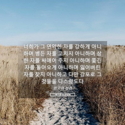 Picture 05 - 에스겔 34:4 KOR - 너희가 그 연약한 자를 강하게 - Bible Verse Picture