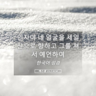 Picture 05 - 에스겔 35:2 KOR - 인자야 네 얼굴을 세일산으로 향하고 - Bible Verse Picture
