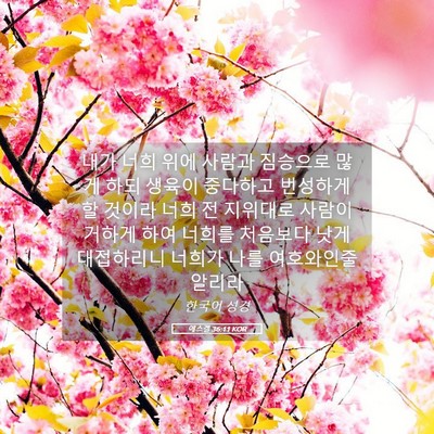 Picture 05 - 에스겔 36:11 KOR - 내가 너희 위에 사람과 짐승으로 - Bible Verse Picture