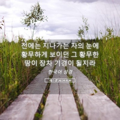 Picture 05 - 에스겔 36:34 KOR - 전에는 지나가는 자의 눈에 황무하게 - Bible Verse Picture
