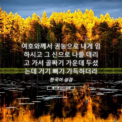 Picture 05 - 에스겔 37:1 KOR - 여호와께서 권능으로 내게 임하시고 - Bible Verse Picture